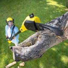 Lawn Maintenance Plans in Dakota Dunes, SD